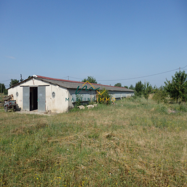Offres de vente Terrain Sainte-Bazeille 47180