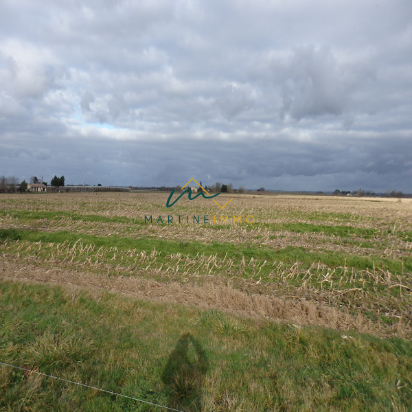 Offres de vente Terrain Meilhan-sur-Garonne 47180
